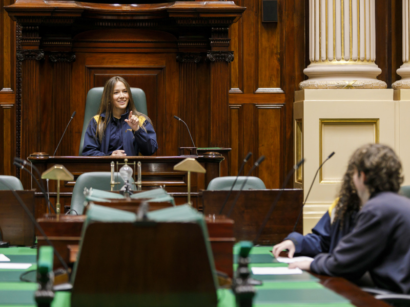 Parliamentary role play 