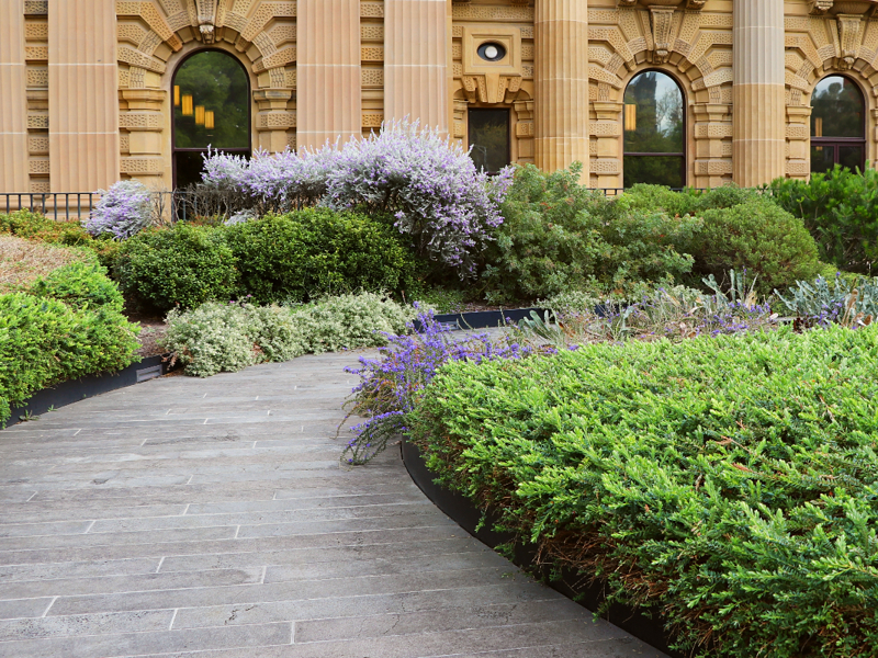 Diverse pathways to parliament